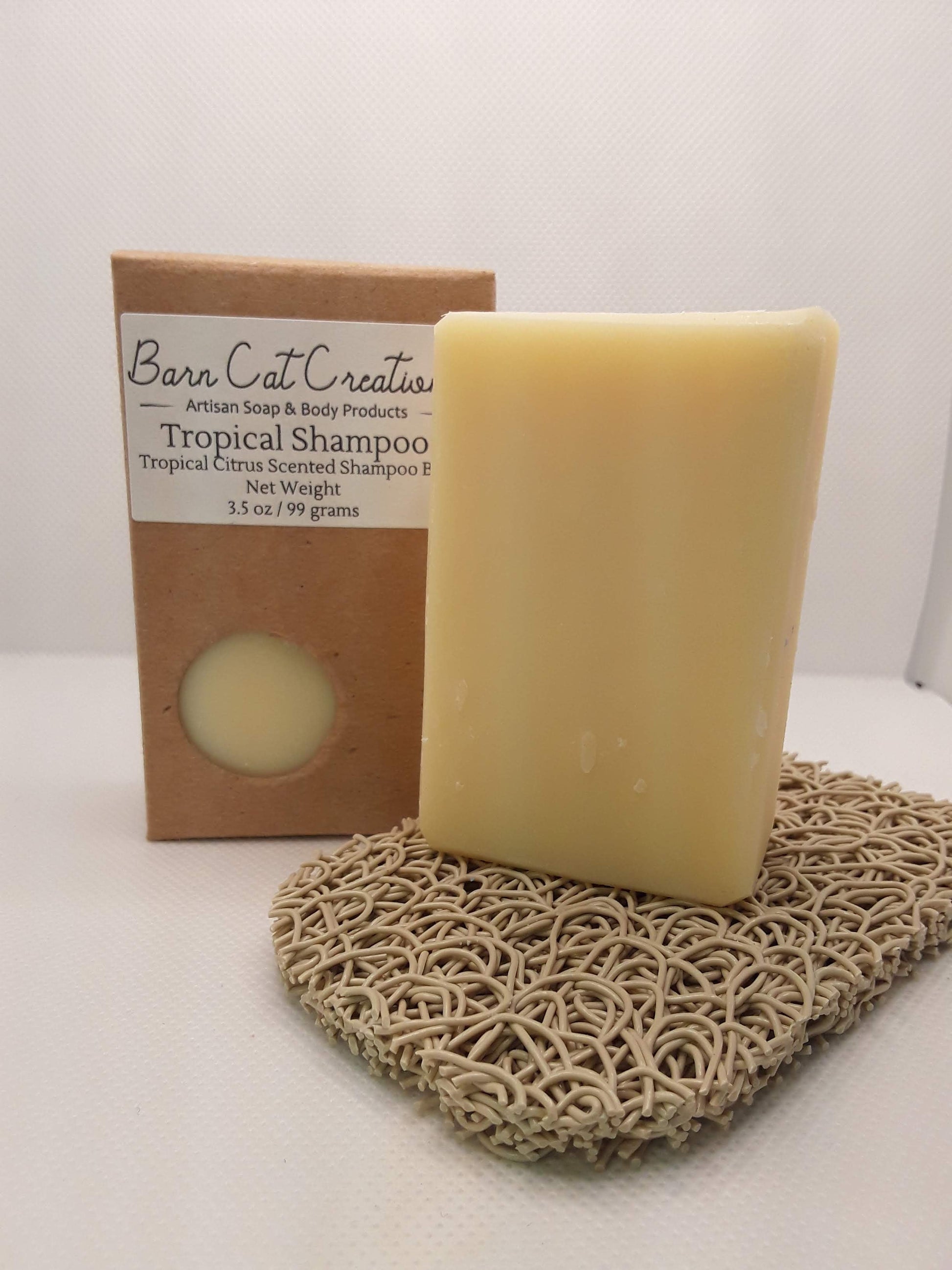 Solid Shampoo-5